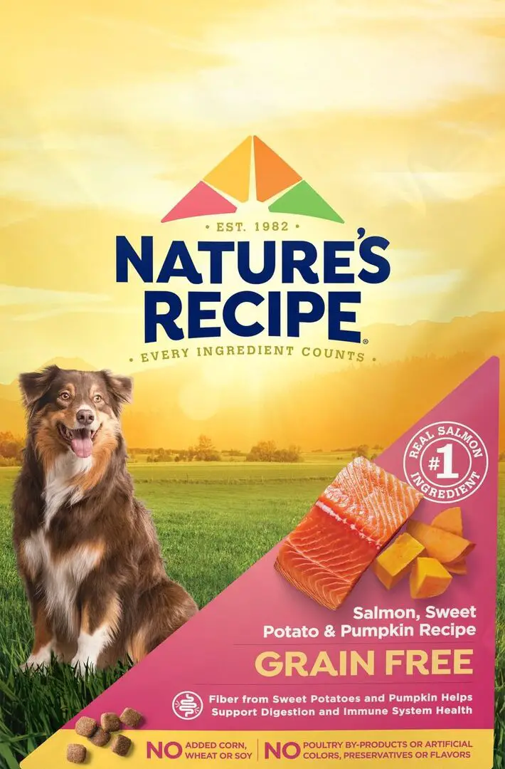 Comida para perros con salmón: 10 sabrosas fórmulas de pescado para probar - Vetstreet ...