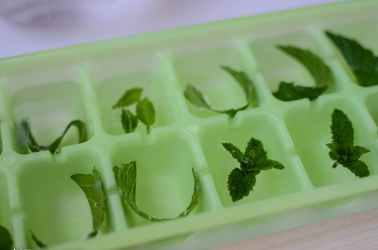 Cubitos de hielo con hojas de menta – Travel For Taste