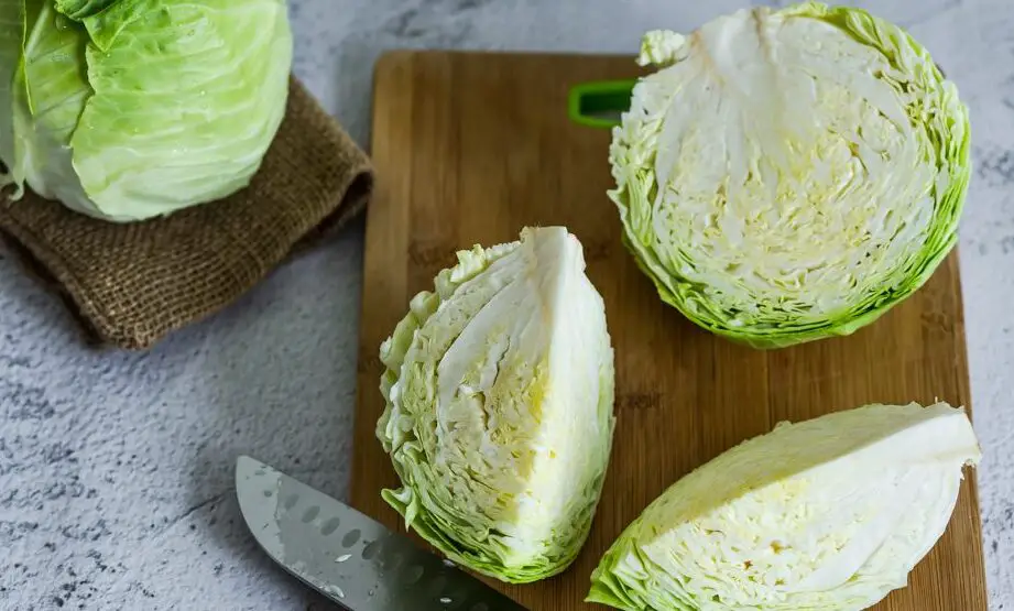 Cómo congelar repollo: crudo, cocido y blanqueado |