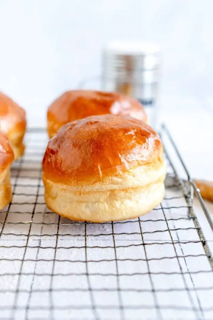 Panes de hamburguesa estilo brioche congelados perfectamente elaborados por la naturaleza...
