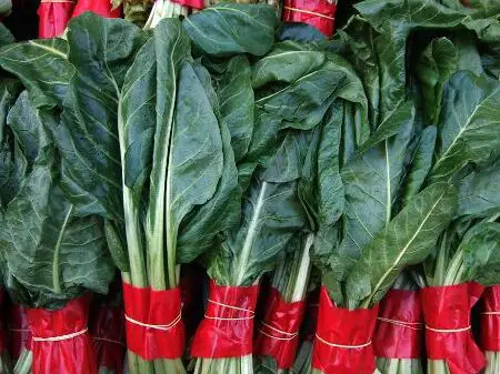 Cómo cocinar acelgas salteadas con ajo