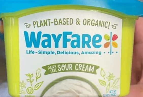 Los 10 mejores sustitutos de la crema agria vegana por los que puedes optar