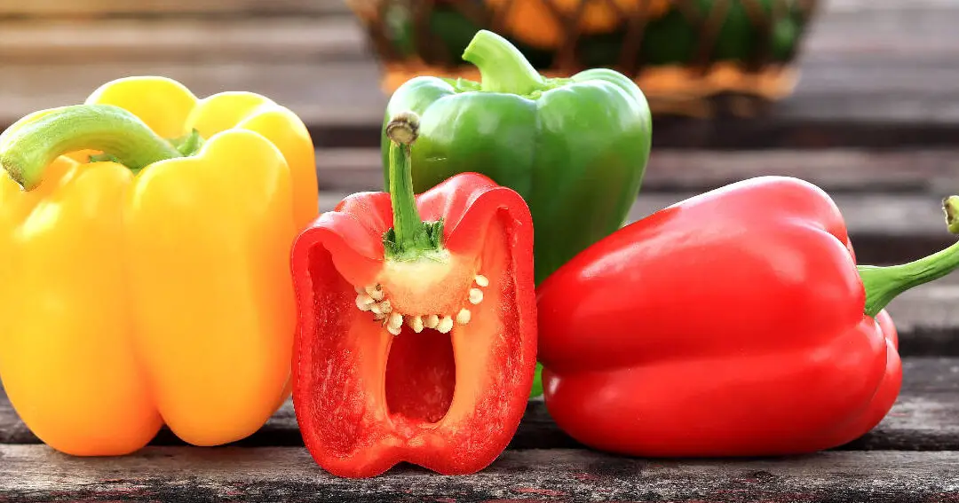 Nutrición del pimiento morrón, beneficios para la salud y cómo seleccionarlo - Dr. Axe