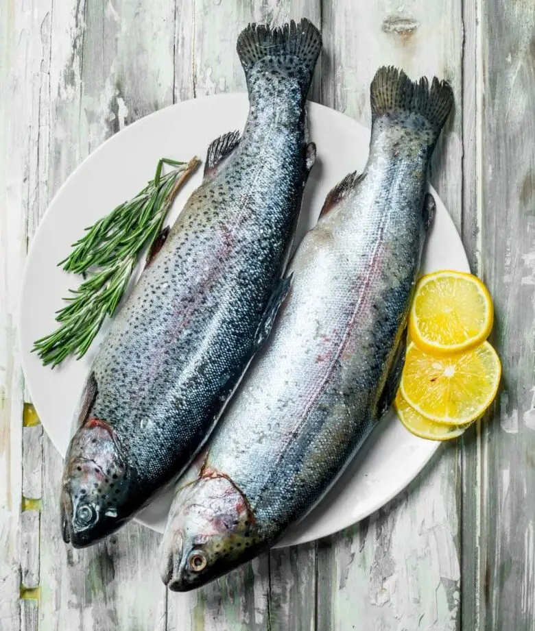 Trucha versus salmón: las diferencias clave: platos y maridajes