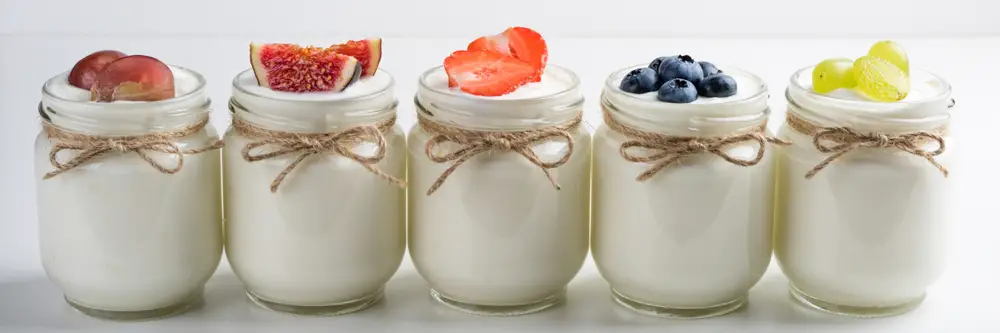 ¿Cuánto dura el yogur casero?