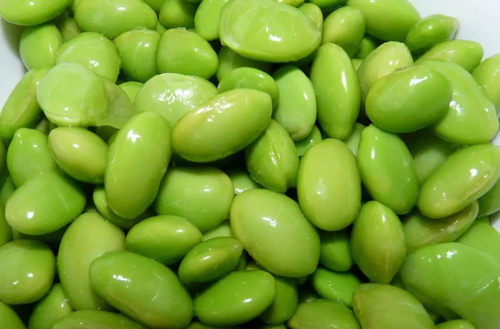 ¿Cuánto tiempo duran los frijoles cocidos en el refrigerador?