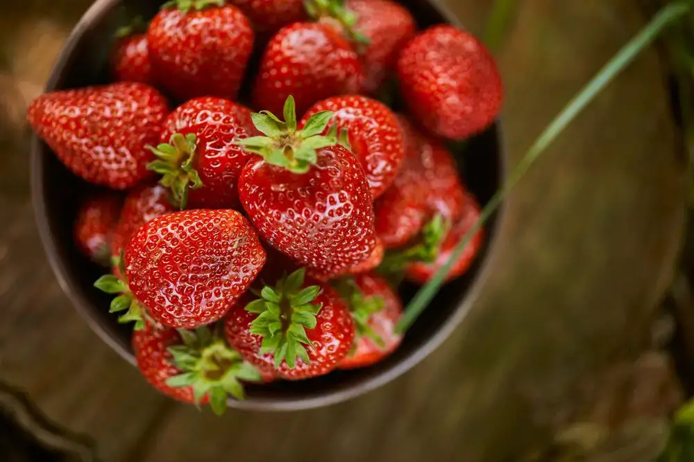 ¿Es la fresa una fruta cítrica? Todo lo que necesitas saber
