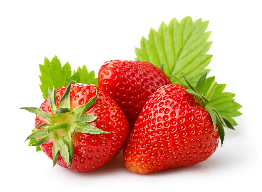 ¿Puedes comer hojas de fresa? Beneficios y cómo usarlos
