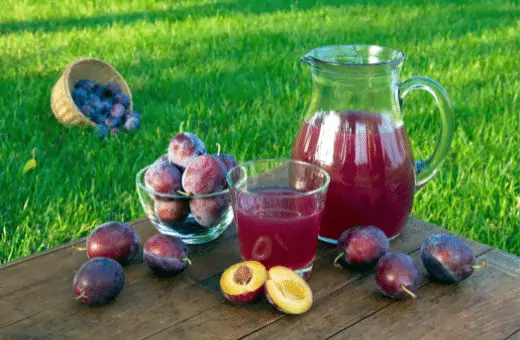 ¿Qué es un buen sustituto sin alcohol para el brandy en la receta?